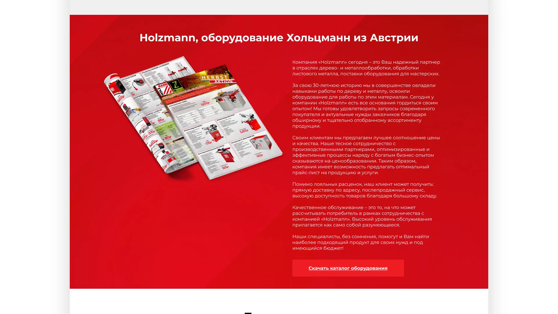 Создание сайта компании «HOLZMANN Maschinen GmbH» в Гагарине