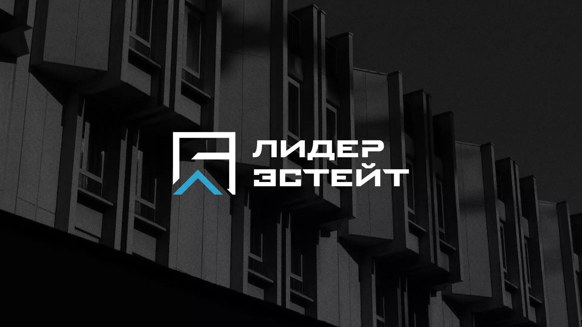 Разработка логотипа агентства недвижимости «Лидер Эстейт» в Гагарине